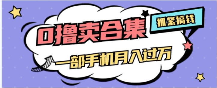0撸项目月入过万，售卖全套ai工具合集，一单29.9元，一部手机即可【揭秘】-大兵轻创资源库