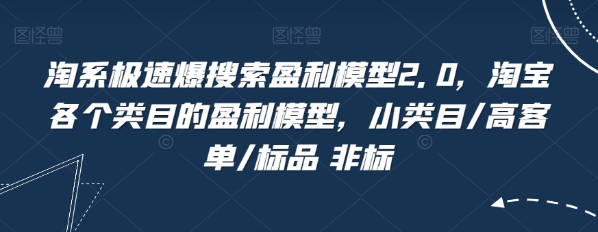 淘系极速爆搜索盈利模型2.0，淘宝各个类目的盈利模型，小类目/高客单/标品 非标-大兵轻创资源库