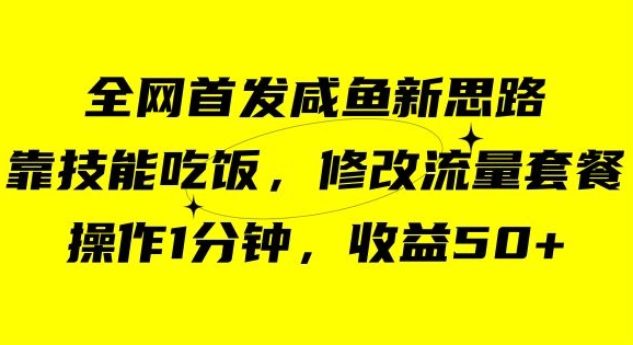 咸鱼冷门新玩法，靠“技能吃饭”，修改流量套餐，操作1分钟，收益50【揭秘】-大兵轻创资源库