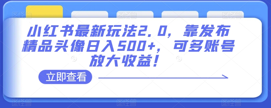 小红书最新玩法2.0，靠发布精品头像日入500+，可多账号放大收益！【揭秘】-大兵轻创资源库