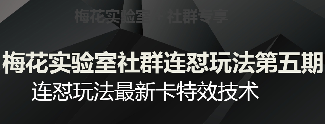 梅花实验室社群连怼玩法第五期，视频号连怼玩法最新卡特效技术-大兵轻创资源库