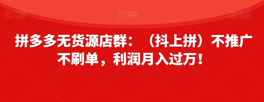 拼多多无货源店群：（抖上拼）不推广不刷单，利润月入过万！【揭秘】-大兵轻创资源库
