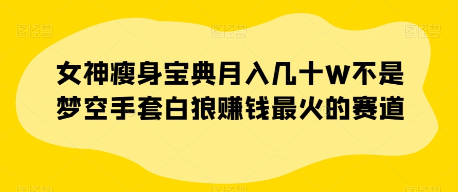 女神瘦身宝典月入几十W不是梦空手套白狼赚钱最火的赛道【揭秘】-大兵轻创资源库
