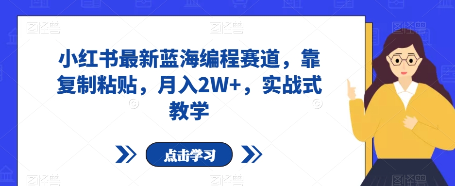 小红书最新蓝海编程赛道，靠复制粘贴，月入2W+，实战式教学【揭秘】-大兵轻创资源库