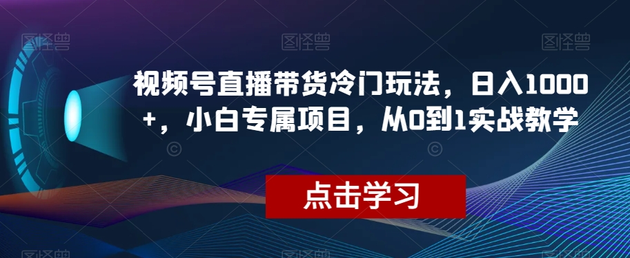 视频号直播带货冷门玩法，日入1000+，小白专属项目，从0到1实战教学【揭秘】-大兵轻创资源库