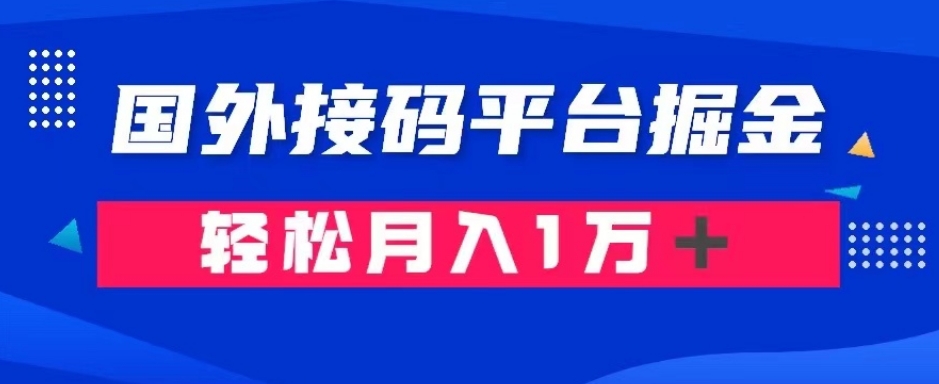 通过国外接码平台掘金：成本1.3，利润10＋，轻松月入1万＋【揭秘】-大兵轻创资源库