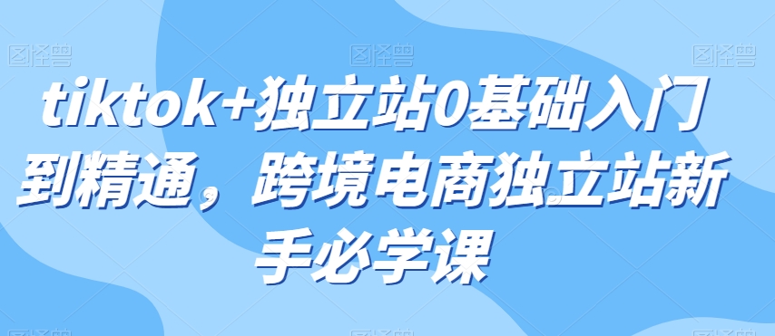 tiktok+独立站0基础入门到精通，跨境电商独立站新手必学课-大兵轻创资源库