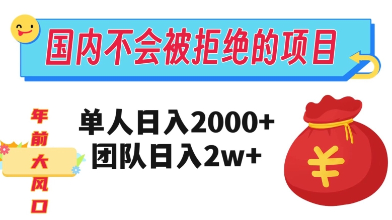 在国内不怕被拒绝的项目，单人日入2000，团队日入20000+【揭秘】-大兵轻创资源库