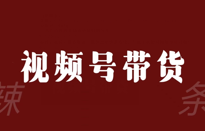 视频号带货联盟，赚信息差的带货钱，只需手机随时随地都可以做！-大兵轻创资源库