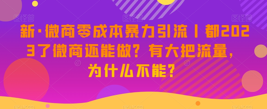 新·微商零成本暴力引流丨都2023了微商还能做？有大把流量，为什么不能？-大兵轻创资源库