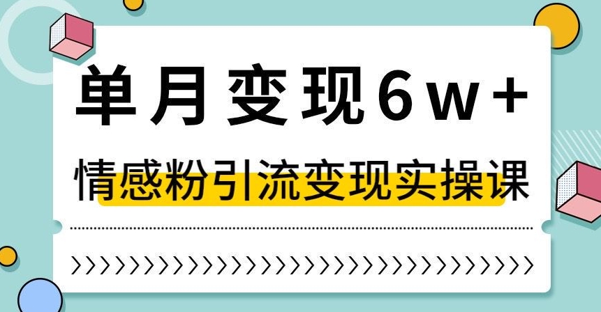 单月变现6W+，抖音情感粉引流变现实操课，小白可做，轻松上手，独家赛道【揭秘】-大兵轻创资源库