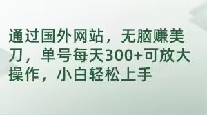 通过国外网站，无脑赚美刀，单号每天300+可放大操作，小白轻松上手【揭秘】-大兵轻创资源库