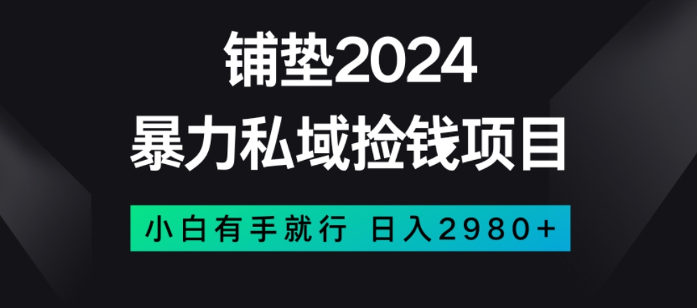 暴力私域捡钱项目，小白无脑操作，日入2980【揭秘】-大兵轻创资源库
