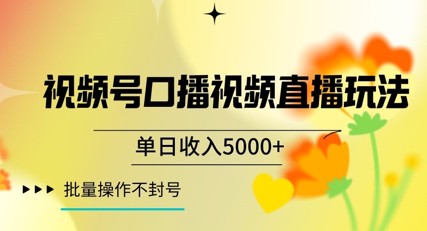 视频号囗播视频直播玩法，单日收入5000+，批量操作不封号【揭秘】-大兵轻创资源库