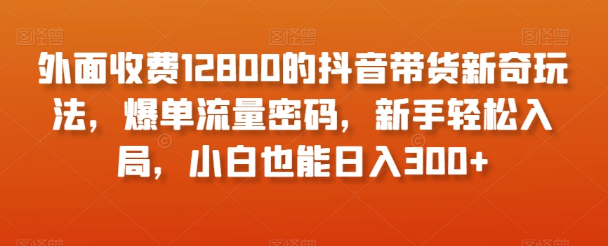 外面收费12800的抖音带货新奇玩法，爆单流量密码，新手轻松入局，小白也能日入300+【揭秘】-大兵轻创资源库