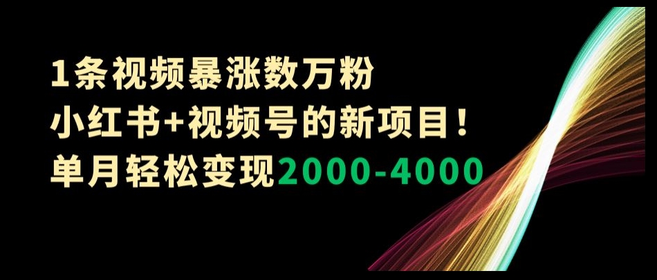 1条视频暴涨数万粉–小红书+视频号的新项目！单月轻松变现2000-4000【揭秘】-大兵轻创资源库