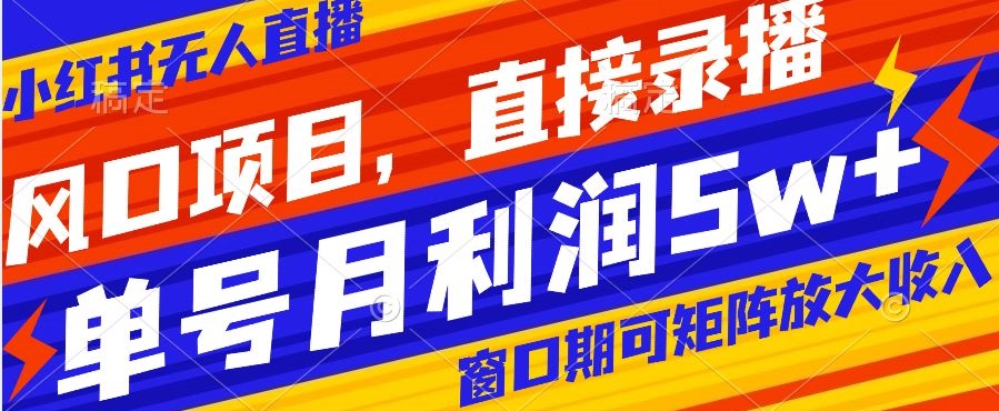 风口项目，小红书无人直播带货，直接录播，可矩阵，月入5w+【揭秘】-大兵轻创资源库