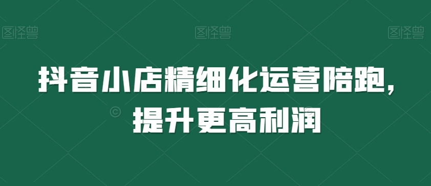 抖音小店精细化运营陪跑，提升更高利润-大兵轻创资源库
