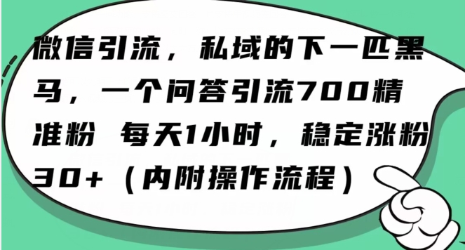 怎么搞精准创业粉？微信新赛道，每天一小时，利用Ai一个问答日引100精准粉-大兵轻创资源库