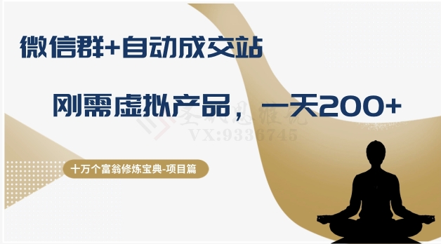 十万个富翁修炼宝典之8.微信群+自动成交站，刚需虚拟产品，一天200+-大兵轻创资源库