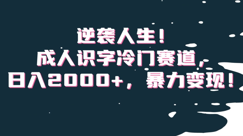 逆袭人生！成人识字冷门赛道，日入2000+，暴力变现！【揭秘】-大兵轻创资源库