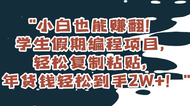 小白也能赚翻！学生假期编程项目，轻松复制粘贴，年货钱轻松到手2W+【揭秘】-大兵轻创资源库