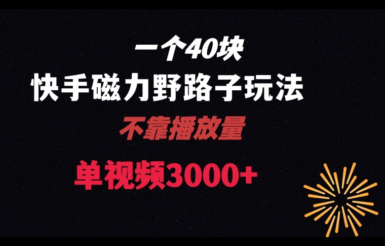 一个40块，快手联合美团磁力新玩法，无视机制野路子玩法，单视频收益4位数【揭秘】-大兵轻创资源库