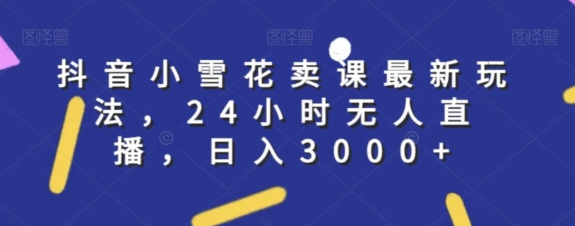 抖音小雪花卖课最新玩法，24小时无人直播，日入3000+【揭秘】-大兵轻创资源库