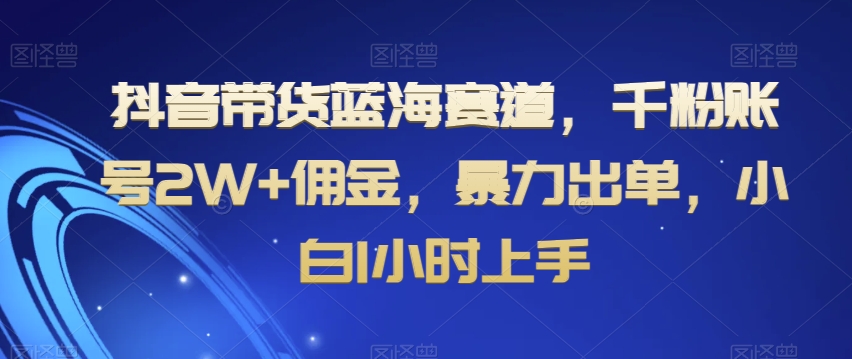 抖音带货蓝海赛道，千粉账号2W+佣金，暴力出单，小白1小时上手【揭秘】-大兵轻创资源库