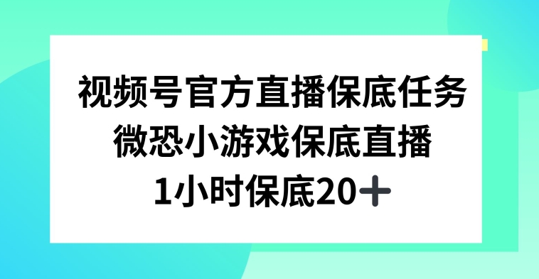 视频号直播任务，微恐小游戏，1小时20+【揭秘】-大兵轻创资源库