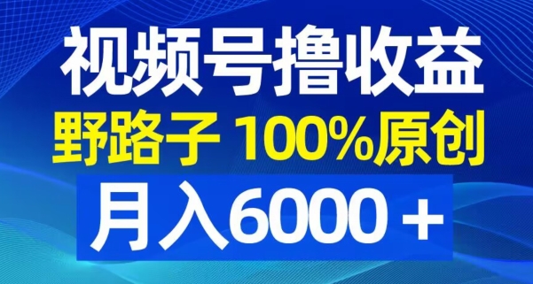 视频号野路子撸收益，100%原创，条条爆款，月入6000＋【揭秘】-大兵轻创资源库