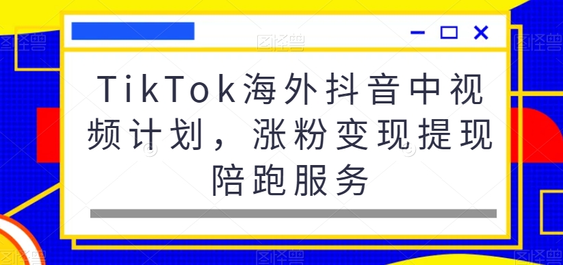 TikTok海外抖音中视频计划，涨粉变现提现陪跑服务-大兵轻创资源库
