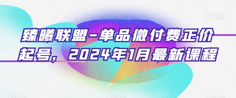 臻曦联盟-单品微付费正价起号，2024年1月最新课程-大兵轻创资源库