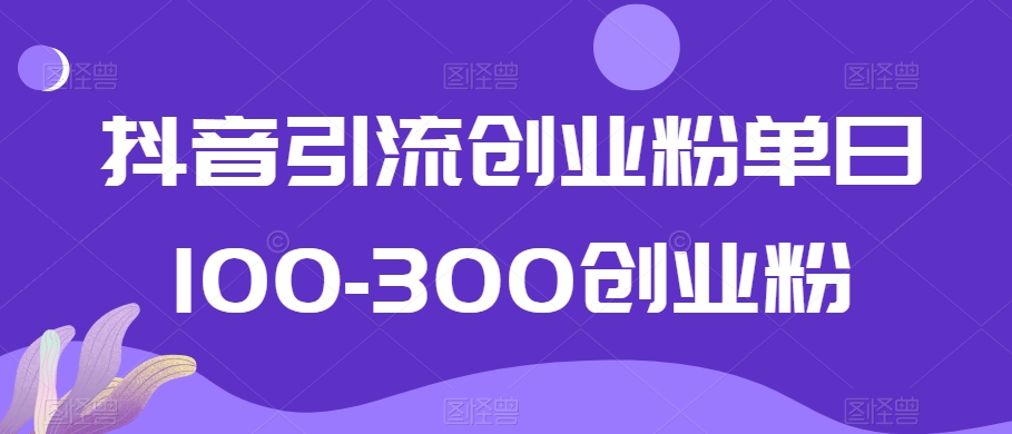 抖音引流创业粉单日100-300创业粉【揭秘】-大兵轻创资源库
