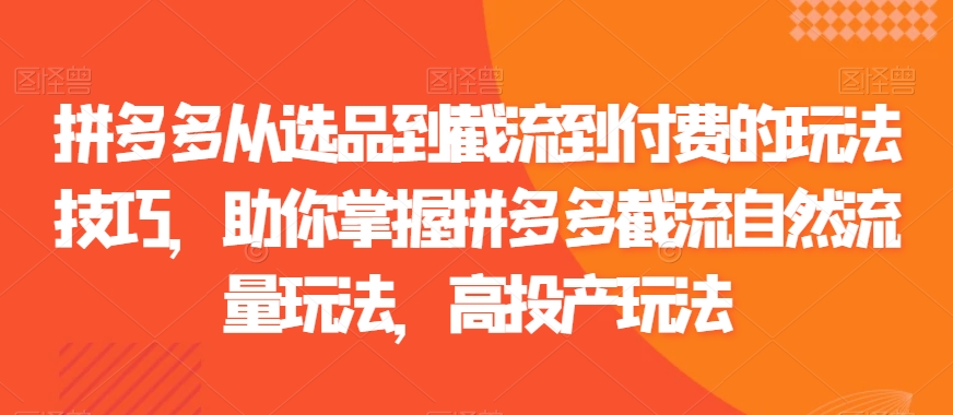 拼多多从选品到截流到付费的玩法技巧，助你掌握拼多多截流自然流量玩法，高投产玩法-大兵轻创资源库