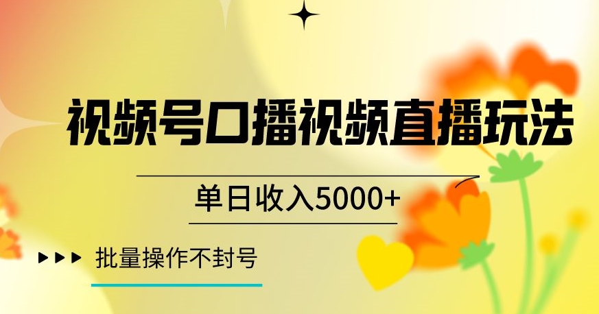 视频号囗播视频直播玩法，单日收入5000+，批量操作不封号【揭秘】-大兵轻创资源库