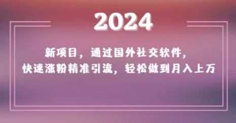2024新项目，通过国外社交软件，快速涨粉精准引流，轻松做到月入上万【揭秘】-大兵轻创资源库