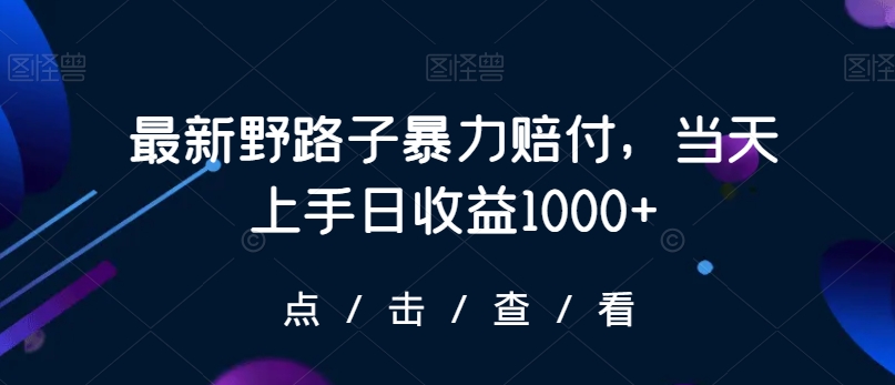 最新野路子暴力赔付，当天上手日收益1000+【仅揭秘】-大兵轻创资源库