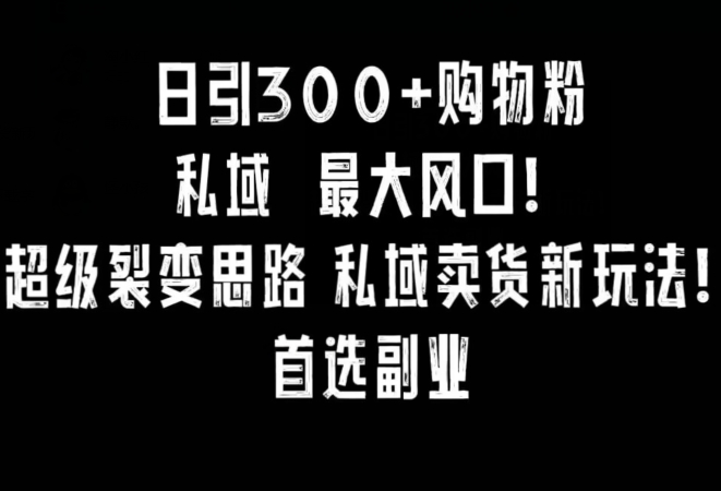 日引300+购物粉，超级裂变思路，私域卖货新玩法，小红书首选副业【揭秘】-大兵轻创资源库