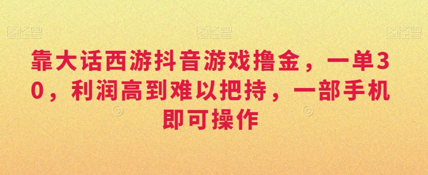 靠大话西游抖音游戏撸金，一单30，利润高到难以把持，一部手机即可操作，日入3000+【揭秘】-大兵轻创资源库