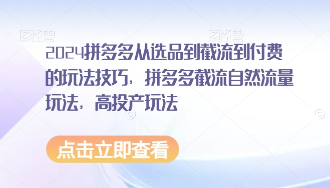 2024拼多多从选品到截流到付费的玩法技巧，拼多多截流自然流量玩法，高投产玩法-大兵轻创资源库