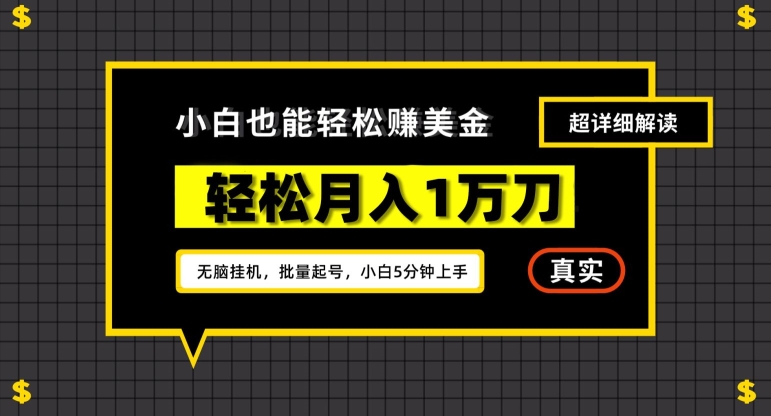 谷歌看广告撸美金2.0，无脑挂机，多号操作，月入1万刀【揭秘】-大兵轻创资源库