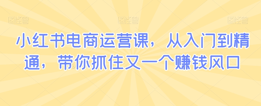小红书电商运营课，从入门到精通，带你抓住又一个赚钱风口-大兵轻创资源库