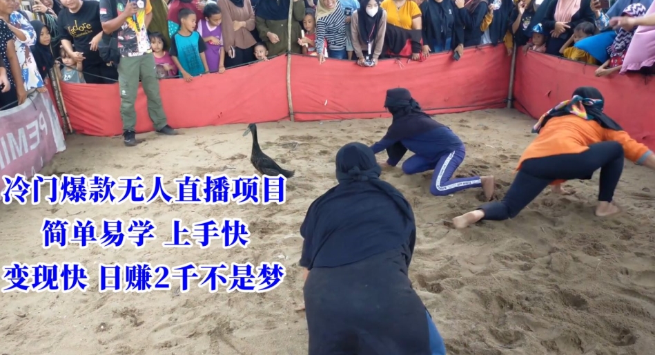 冷门爆款无人直播项目，简单易学上手快，变现快日赚2千不是梦【揭秘】-大兵轻创资源库