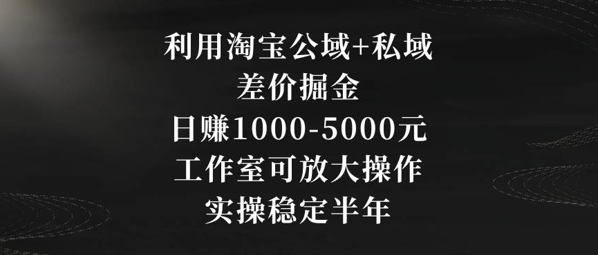 利用淘宝公域+私域差价掘金，日赚1000-5000元，工作室可放大操作，实操稳定半年【揭秘】-大兵轻创资源库