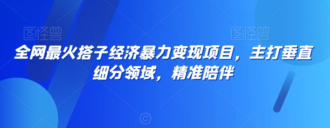 全网最火搭子经济暴力变现项目，主打垂直细分领域，精准陪伴【揭秘】-大兵轻创资源库