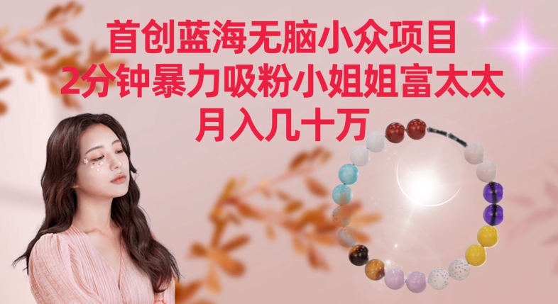 首创蓝海无脑小众项目，2分钟暴力吸粉小姐姐富太太，月入几十万【揭秘】-大兵轻创资源库