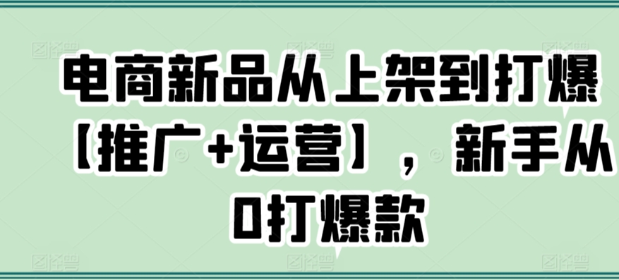 电商新品从上架到打爆【推广+运营】，新手从0打爆款-大兵轻创资源库