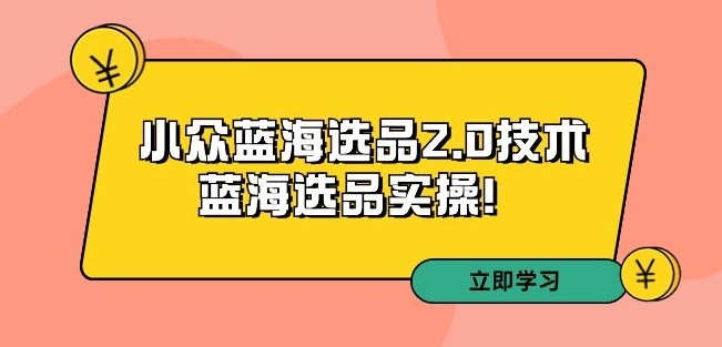 拼多多培训第33期：小众蓝海选品2.0技术-蓝海选品实操！-大兵轻创资源库