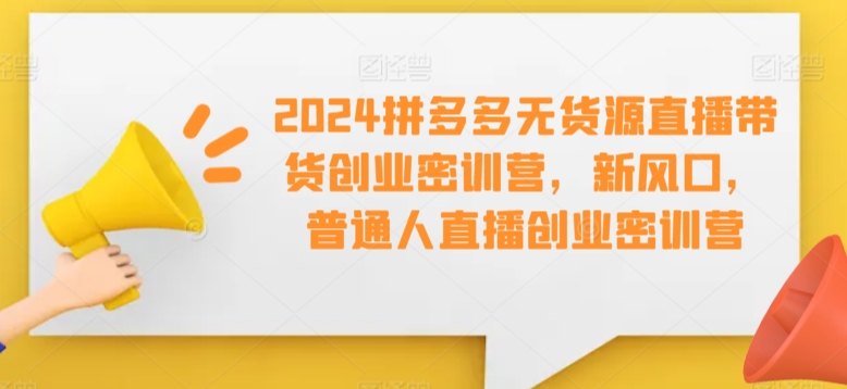 2024拼多多无货源直播带货创业密训营，新风口，普通人直播创业密训营-大兵轻创资源库